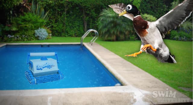 Keep Ducks Out With Pool Cleaner