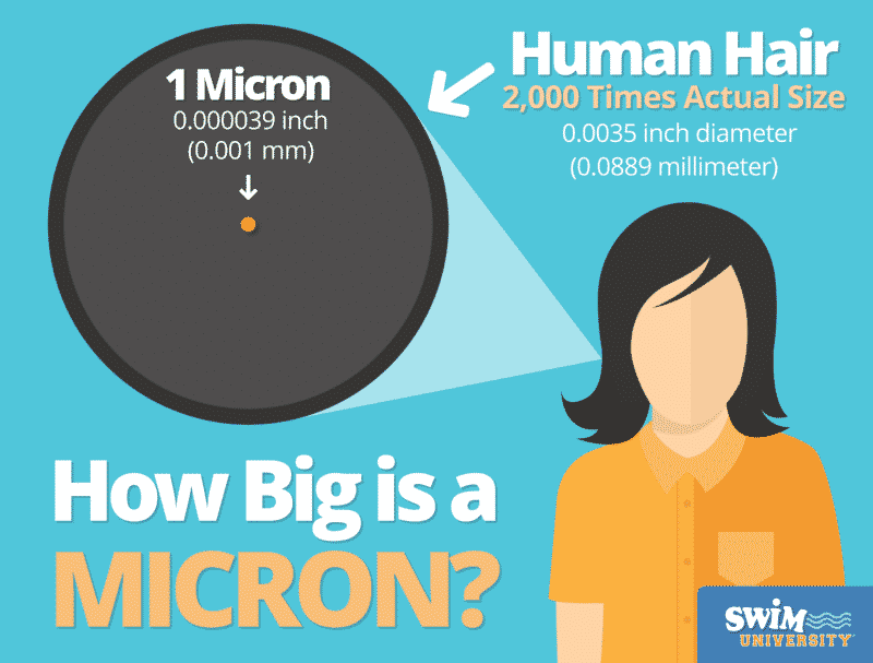 How Big Is a Micron