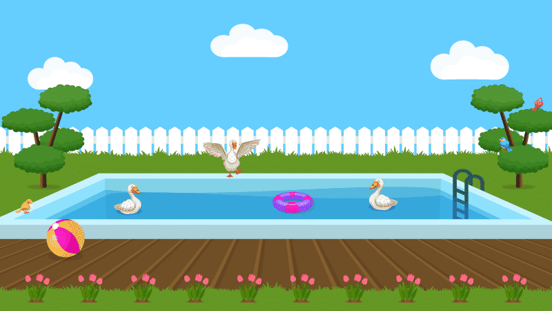 How to Keep Ducks Out of Your Pool