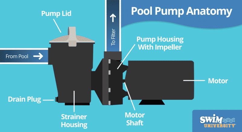 Pool Pump Anatomy