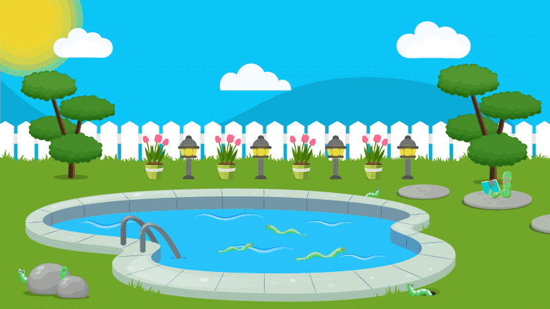 How to Get Rid of Worms in Your Pool